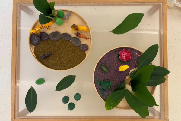 children’s play schools