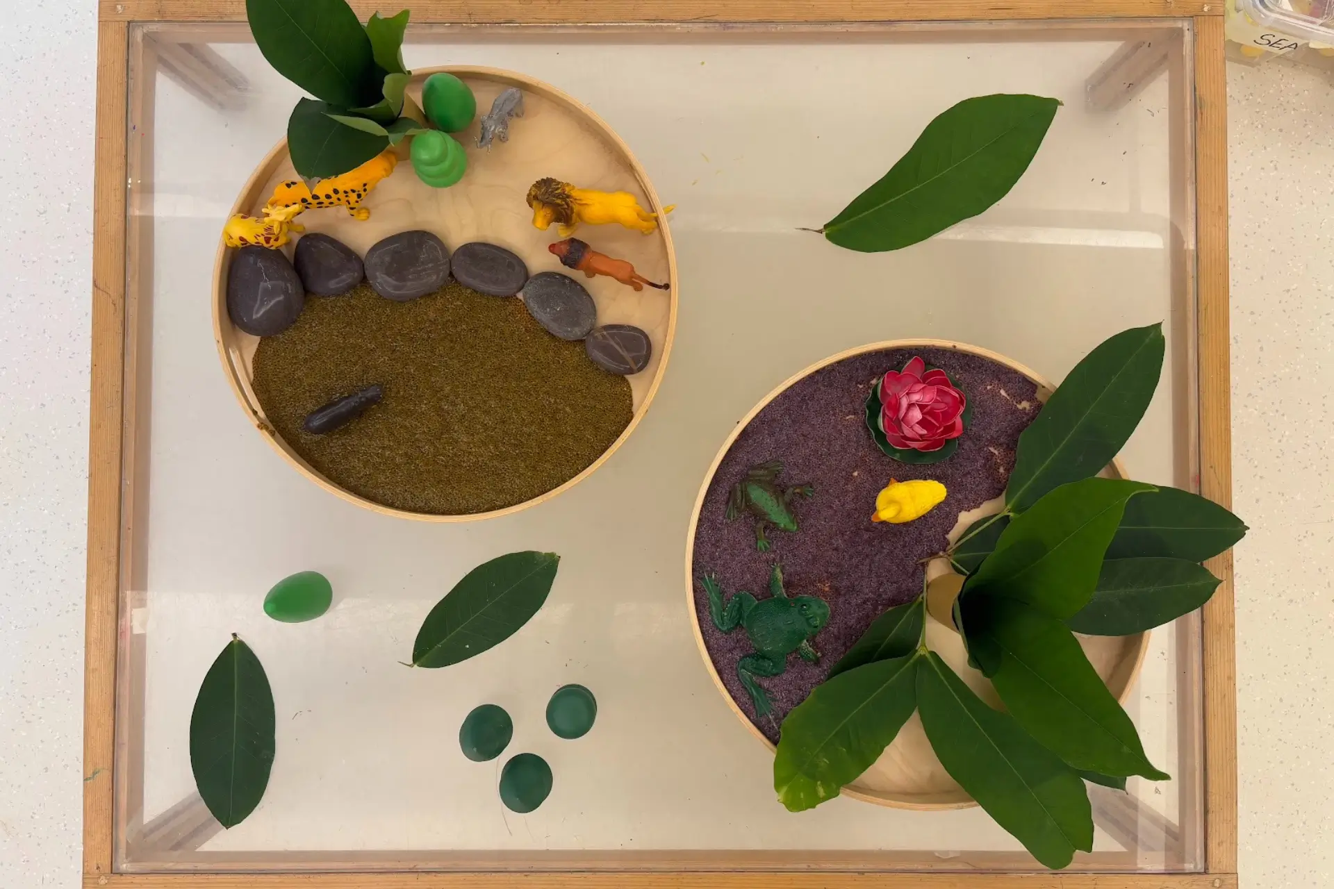 Bringing Reggio Home: Simple Ways Parents Can Apply the ‘Third Teacher’ Approach for Toddlers and Preschoolers